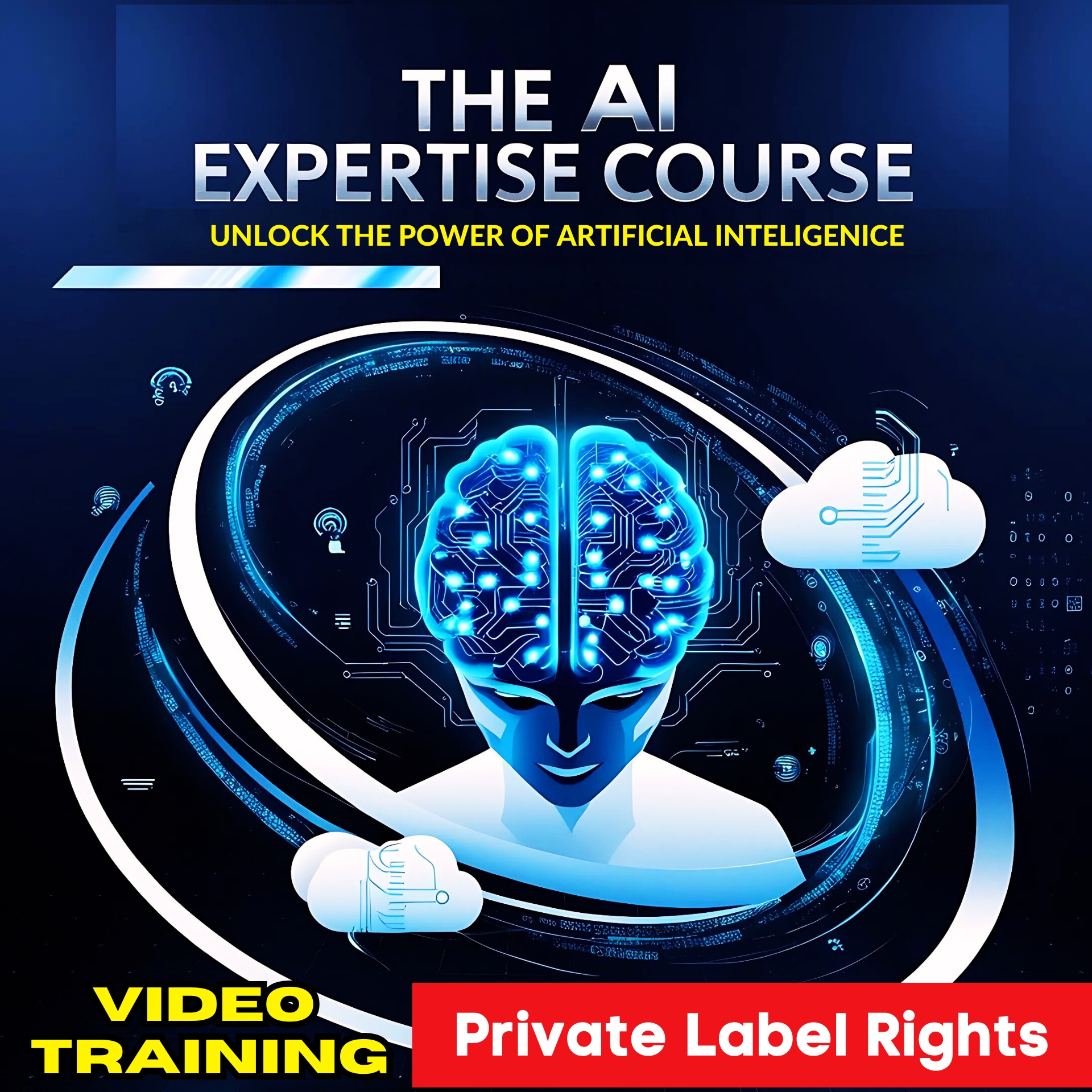The AI Expertise Course - PLR (Video Training)