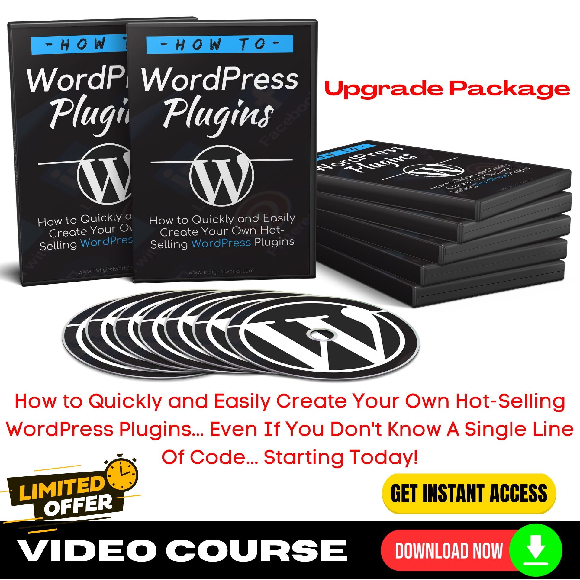 How To WordPress Plugins Upgrade Package (Video Training)